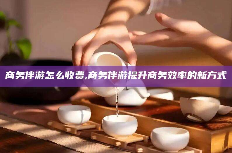 上海商务伴游怎么收费,商务伴游提升商务效率的新方式